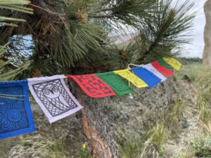 Tibetan Prayer Flags picture for Art for the Heart project