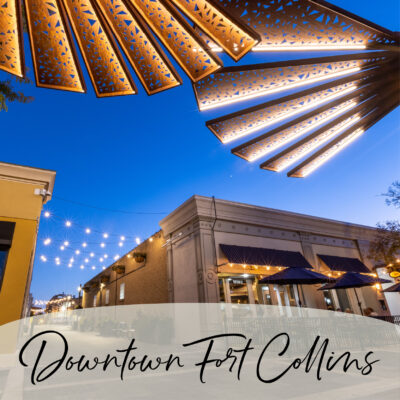 Image of an alley entrance in Downtown Fort Collins, with caption of downtown fort collins on the bottom of the picture