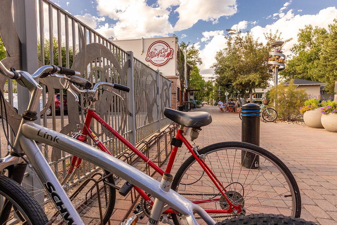 bikes in dalzell alley by alley cat